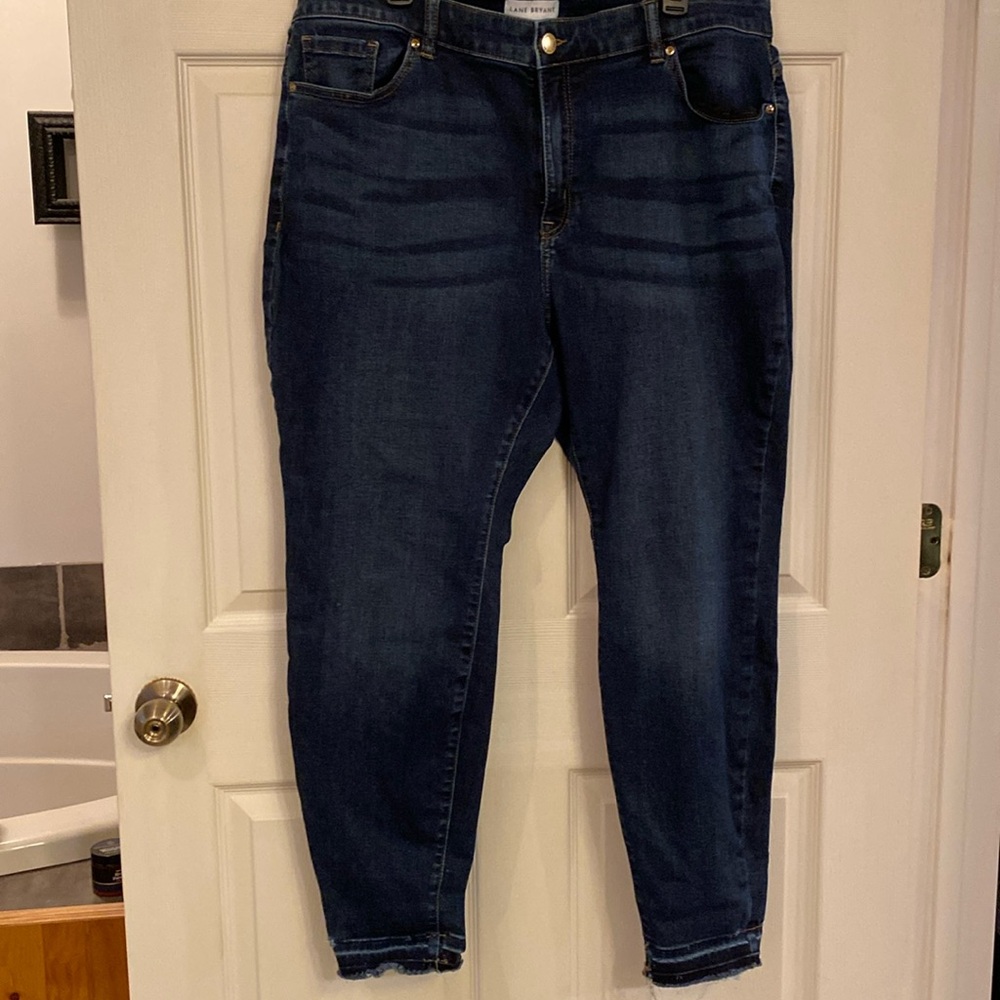 Lane Bryant 22